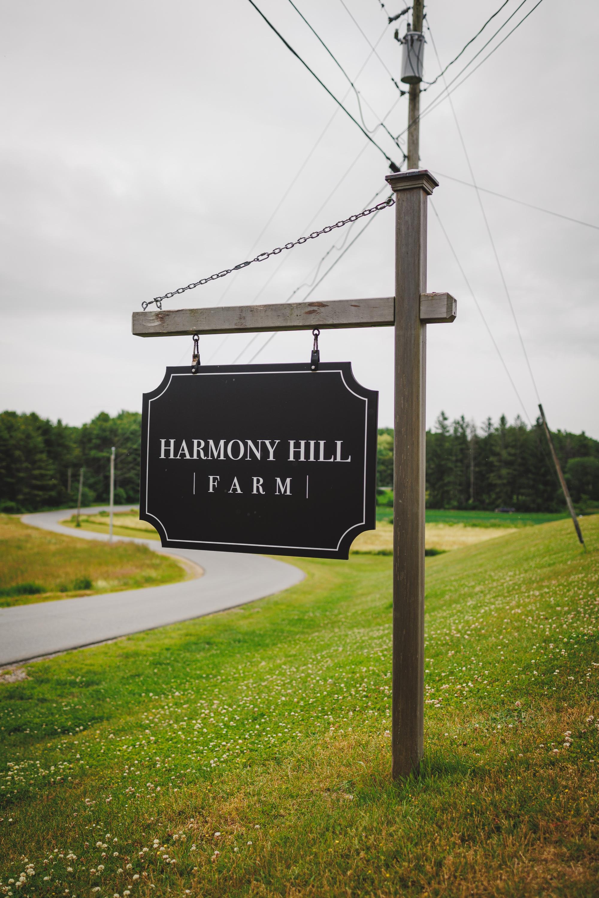 Vendor Spotlight: Harmony Hill Farm – A Perfect Blend of Tradition and Beauty